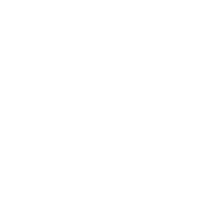 Texas Auctioneers Association member